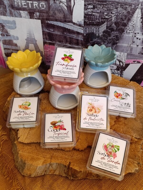 Pack descubre los Wax Melts